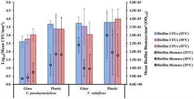 Vibrio parahaemolyticus and Vibrio vulnificus in vitro colonization on plastics influenced by temperature and strain variability